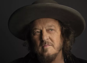 zucchero