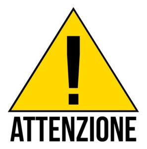 Scappato un leone