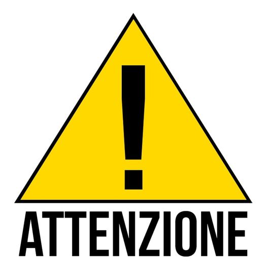 Scappato un leone
