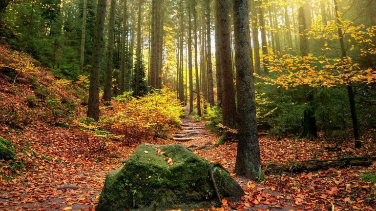 equinozio d’autunno 2025