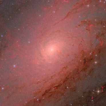 la Cometa C/2025 Lemmon