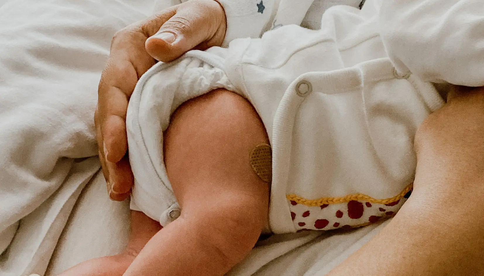 record di nascite a Verona