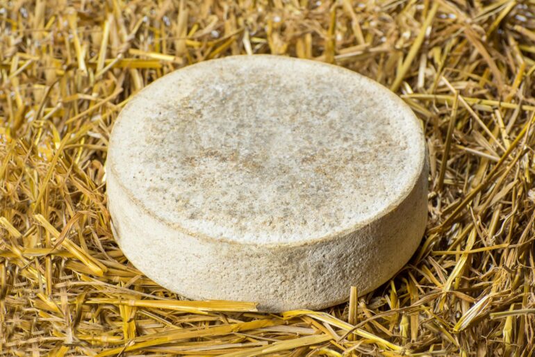 Patrimonio alimentare alpino