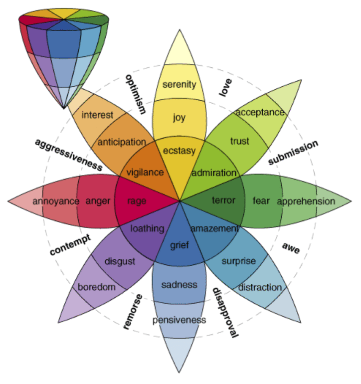 intelligenza emotiva