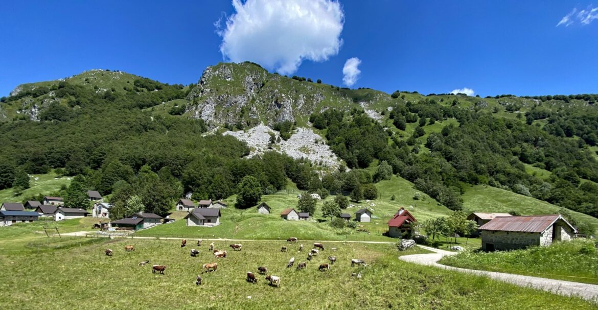 vivere un mese in montagna gratis