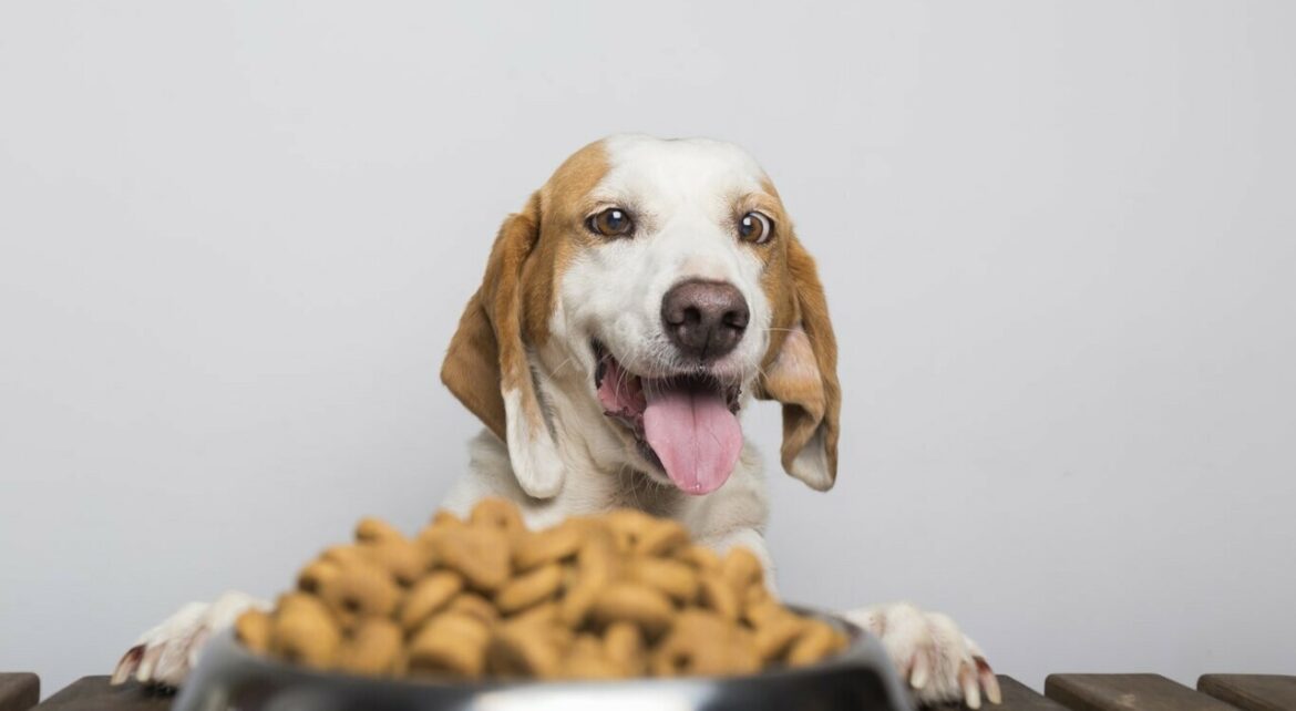 classifica cibo per cani Altroconsumo