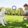 Giocare con il cane rafforza il legame: lo conferma uno studio
