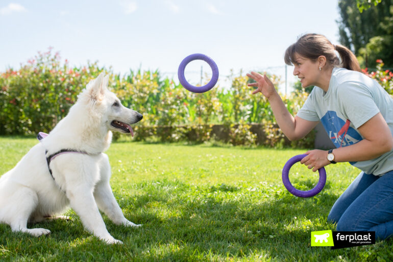 giocare con il cane benefici