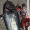 Sardegna, pescatore di 25 anni cattura un tonno da 168 chili: Tre ore di lotta per portarlo a bordo
