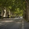 Le città italiane con più alberi: ecco dove il verde aiuta a combattere il caldo