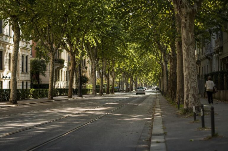 città italiane con più alberi
