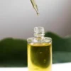 Olio extravergine d’oliva, una sostanza naturale potrebbe aiutare il cervello a invecchiare meglio: la scoperta dei ricercatori italiani