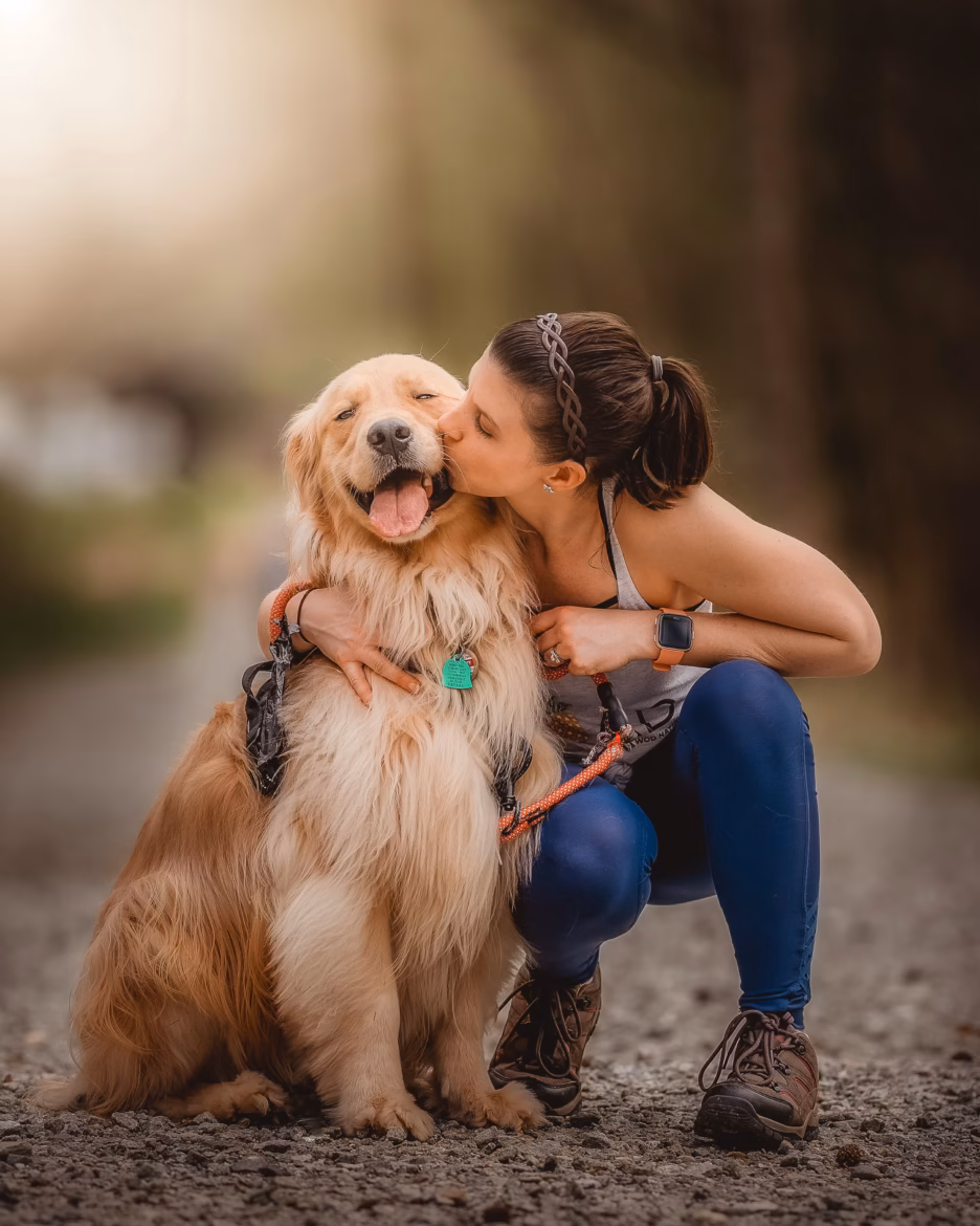baciare il cane